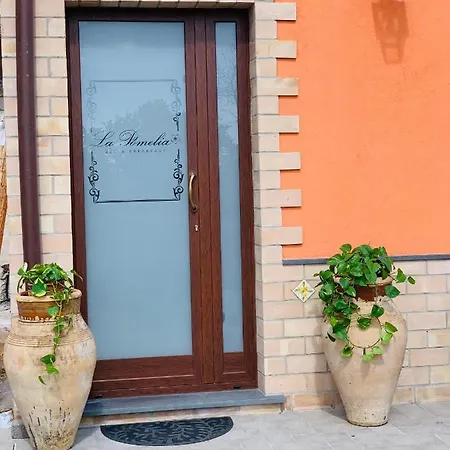 La Pomelia Sofia *