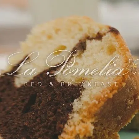 La Pomelia Sofia Bed & Breakfast