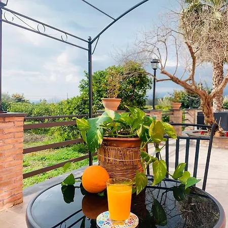 La Pomelia Sofia 4* Trappitello