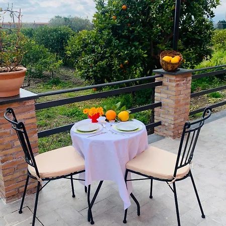 Bed & Breakfast La Pomelia Sofia