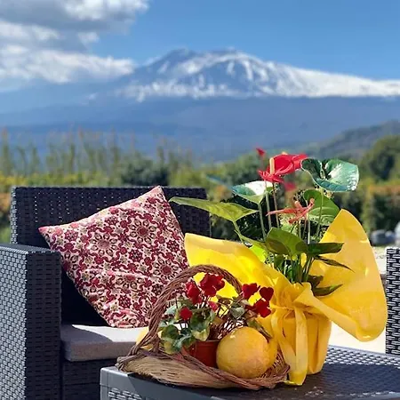 La Pomelia Sofia Bed & Breakfast 4*