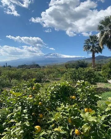 Alojamento de Acomodação e Pequeno-almoço La Pomelia Sofia Trappitello