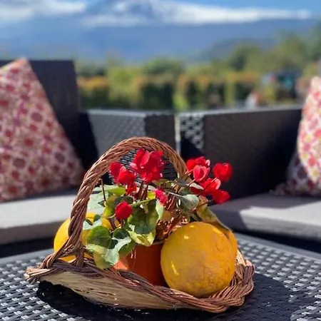 Alojamento de Acomodação e Pequeno-almoço La Pomelia Sofia Trappitello