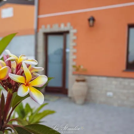 La Pomelia Sofia Bed & Breakfast