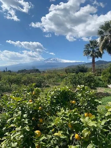 住宿加早餐酒店 La Pomelia Sofia 特拉皮泰罗