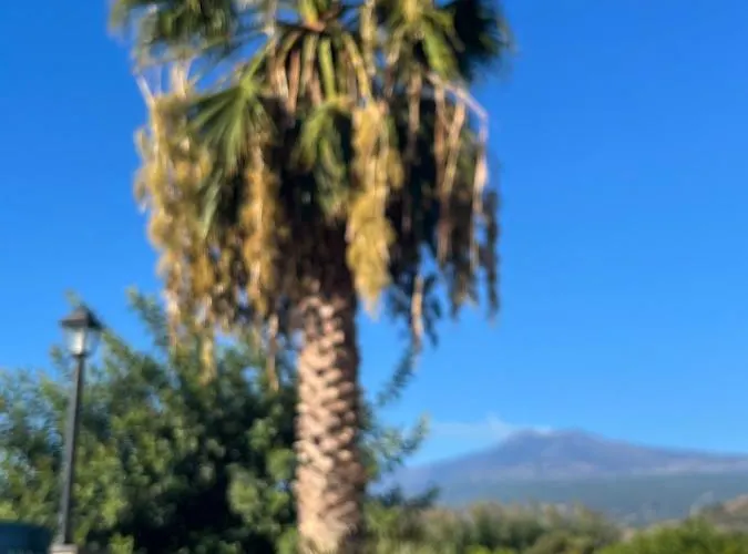 Bed and breakfast La Pomelia Sofia