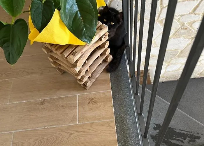 住宿加早餐酒店 La Pomelia Sofia 4*