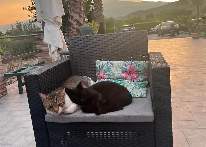 住宿加早餐酒店 La Pomelia Sofia