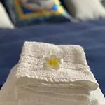 La Pomelia Sofia Bed & Breakfast Trappitello