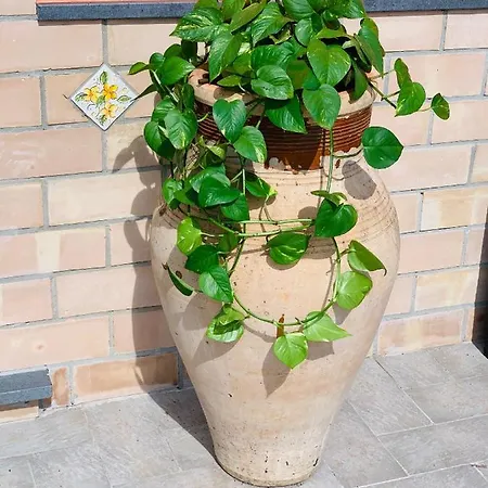 La Pomelia Sofia Frühstückspension 4*