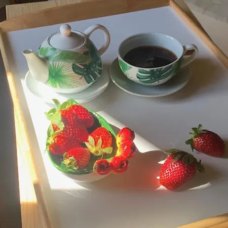 La Pomelia Sofia Bed and breakfast