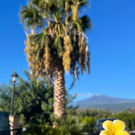 Frühstückspension La Pomelia Sofia