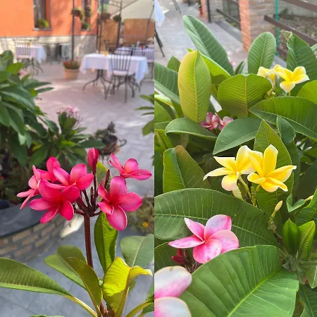 La Pomelia Sofia