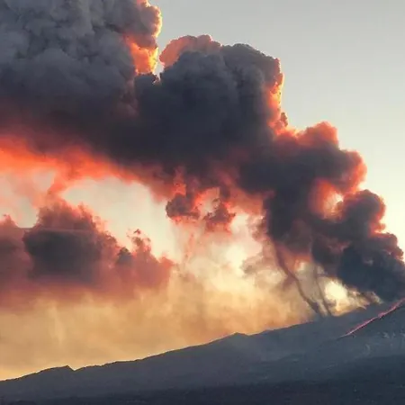 La Pomelia Sofia Trappitello