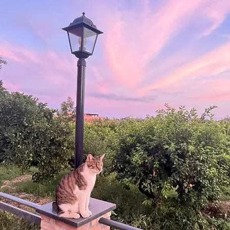 La Pomelia Sofia Frühstückspension 4*