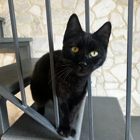 La Pomelia Sofia 4* Trappitello