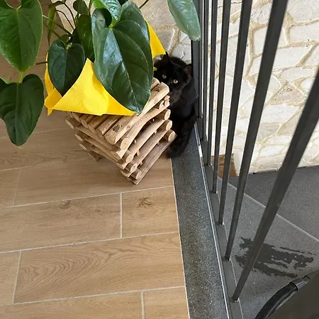 Frühstückspension La Pomelia Sofia 4*