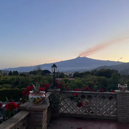La Pomelia Sofia