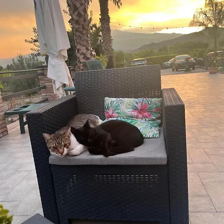 Frühstückspension La Pomelia Sofia