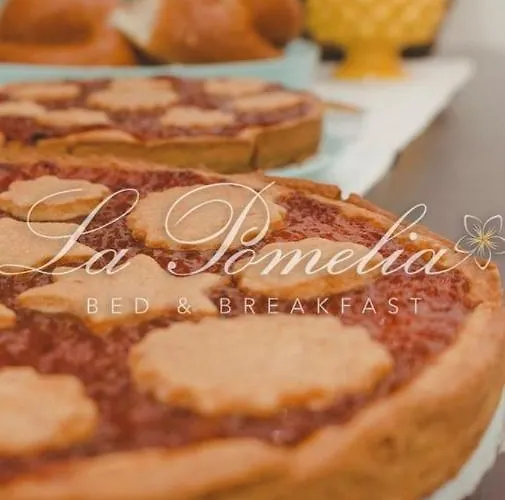 La Pomelia Sofia 4* 特拉皮泰罗