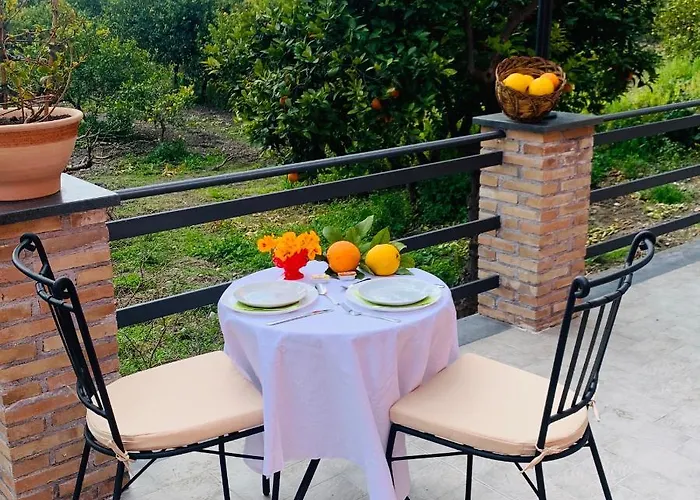 住宿加早餐酒店 La Pomelia Sofia