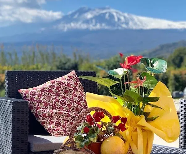 La Pomelia Sofia Bed & Breakfast 4*