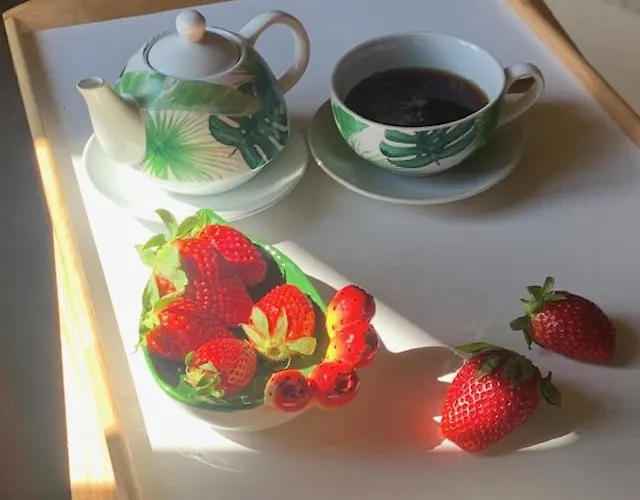 La Pomelia Sofia Bed & Breakfast