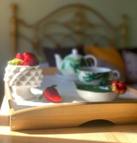 La Pomelia Sofia 4* 特拉皮泰罗