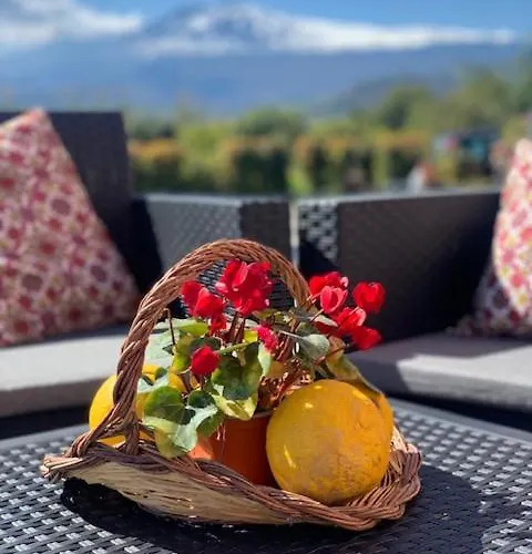 住宿加早餐酒店 La Pomelia Sofia 特拉皮泰罗