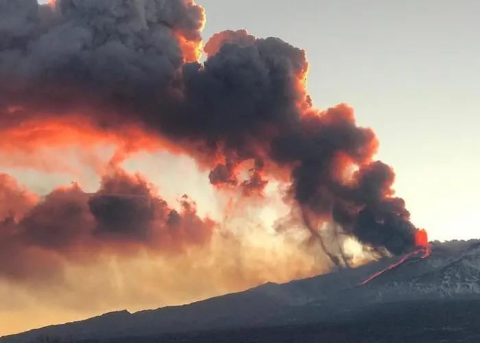 La Pomelia Sofia 特拉皮泰罗