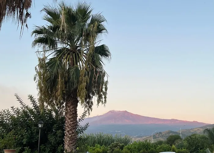 La Pomelia Sofia Bed & Breakfast