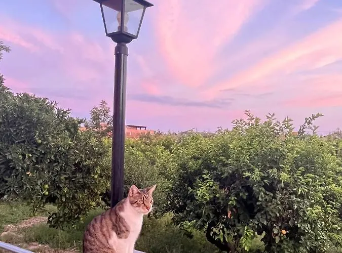 La Pomelia Sofia Bed & Breakfast 4*