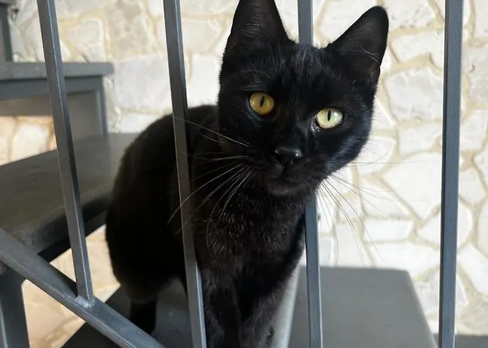 La Pomelia Sofia 4* Trappitello