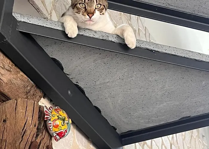 Bed & Breakfast La Pomelia Sofia 4*